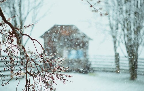 снег - оригинал