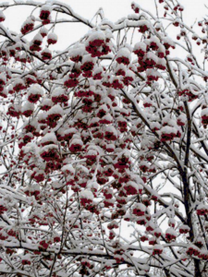 птицы - предпросмотр