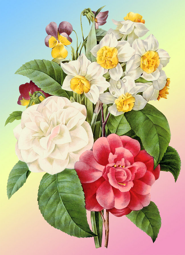 георгины - оригинал