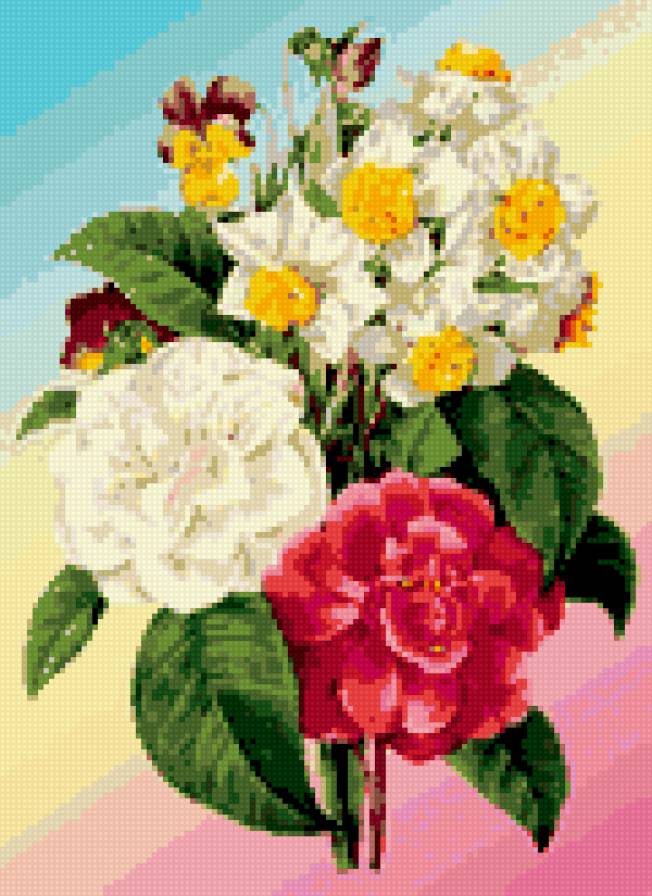 георгины - предпросмотр