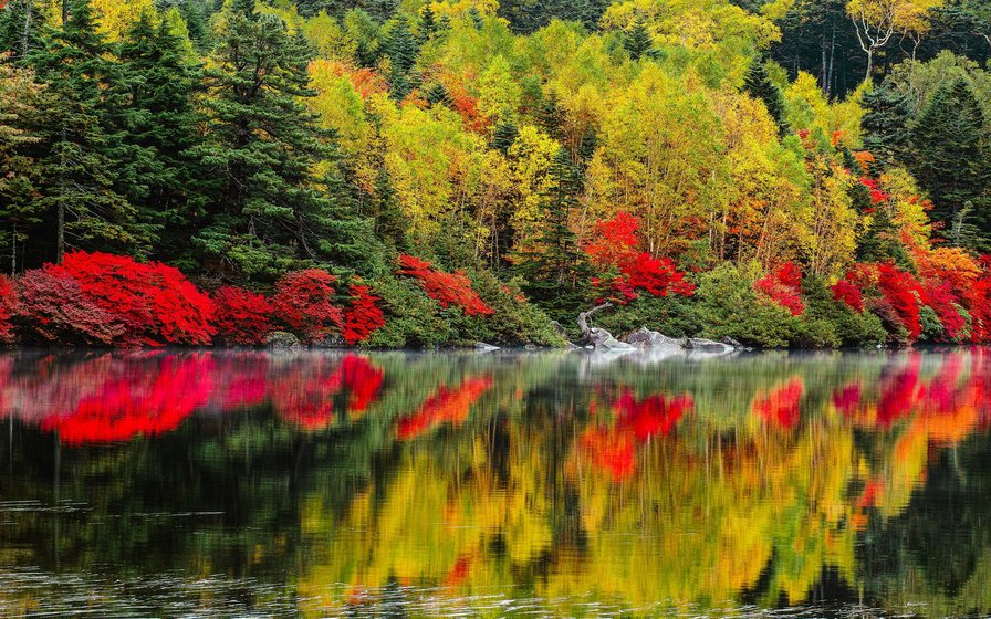 Осень. - осень, озеро, пейзаж - оригинал