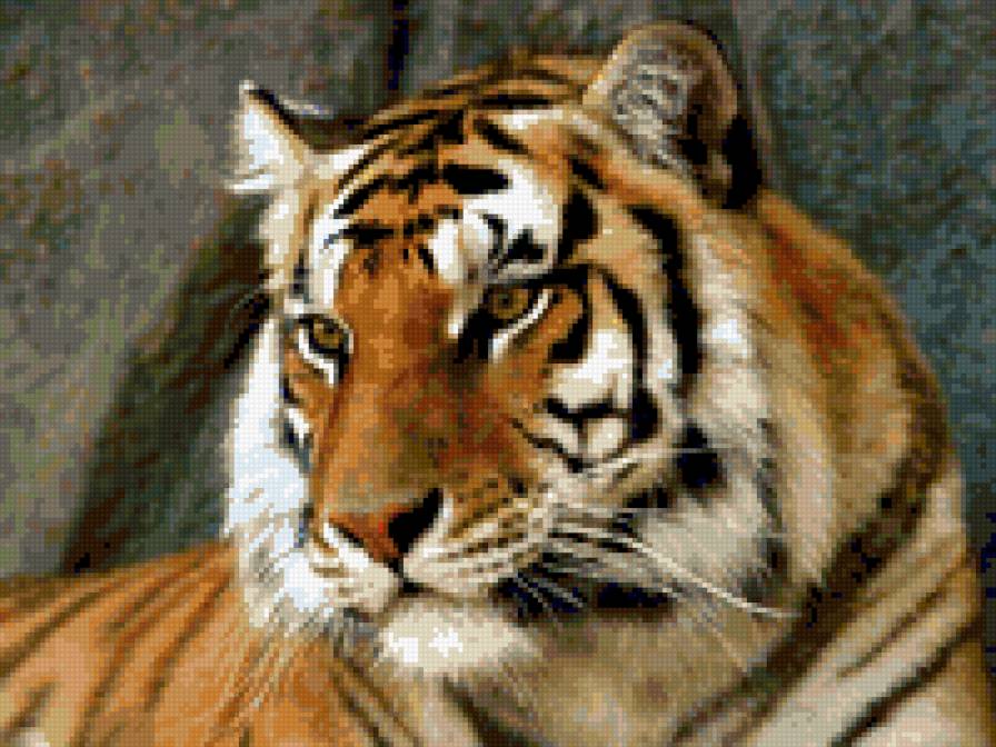 Задумчивый тигр - тигр - предпросмотр