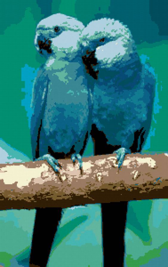 попугаи - предпросмотр