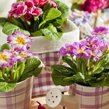 Схема вышивки «№343139»