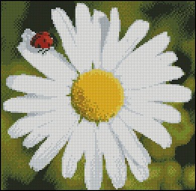 Ромашка - цветок, цветы, природа, ромашка - оригинал