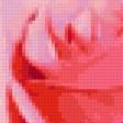 Предпросмотр схемы вышивки «Розы» (№343348)