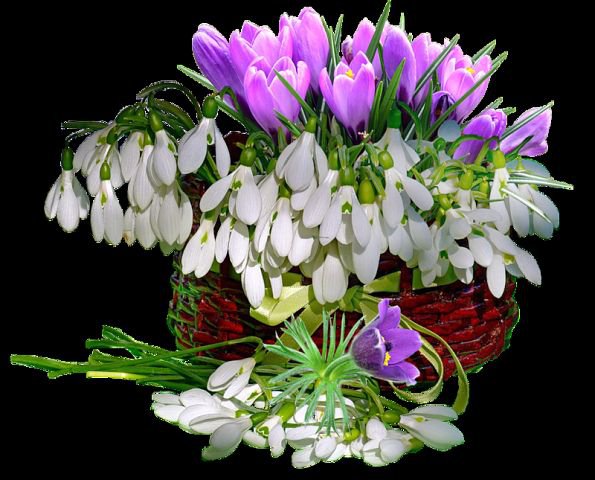 №343492 - оригинал