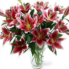 Схема вышивки «№343499»