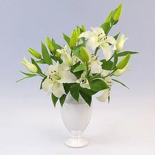 Схема вышивки «№343500»