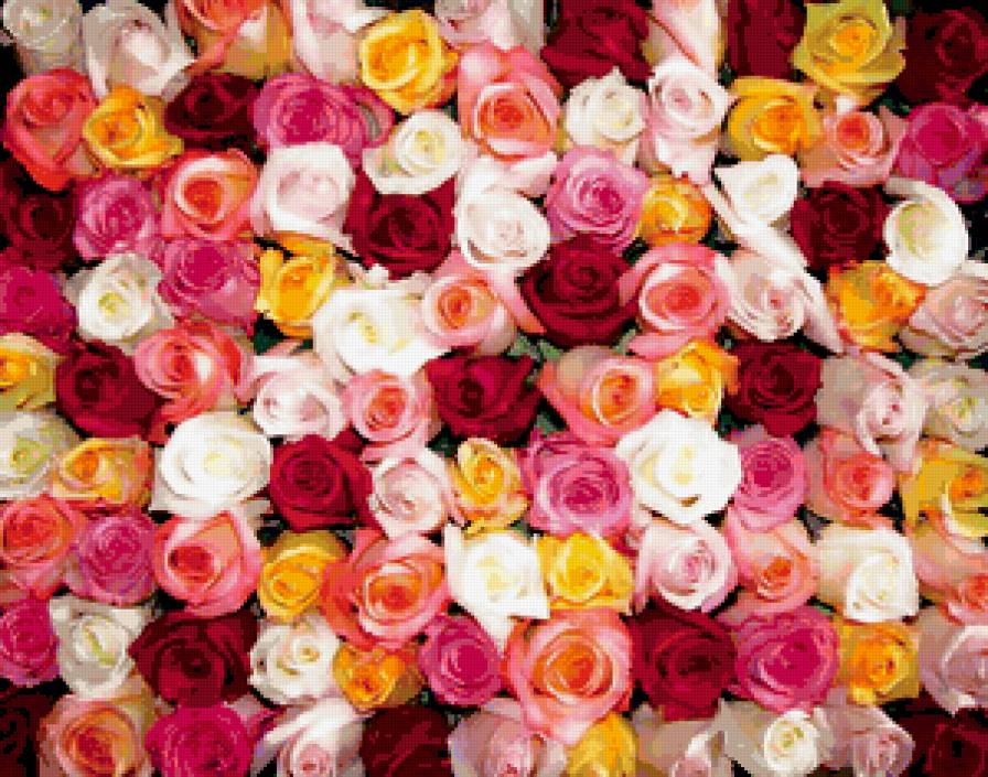 №343510 - предпросмотр