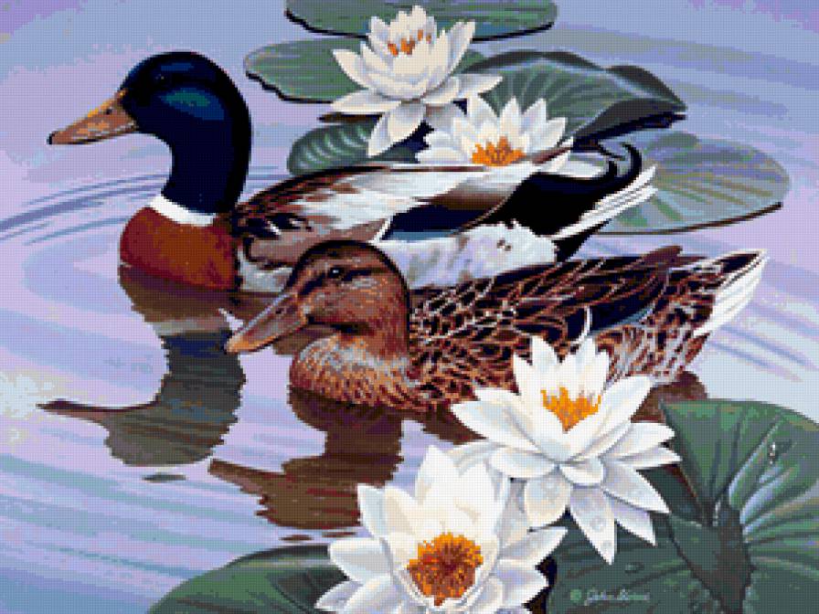 картина - картина - предпросмотр