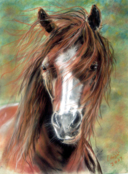 красавец - лошади - оригинал