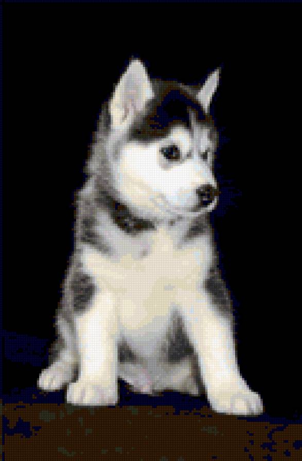 №343788 - предпросмотр