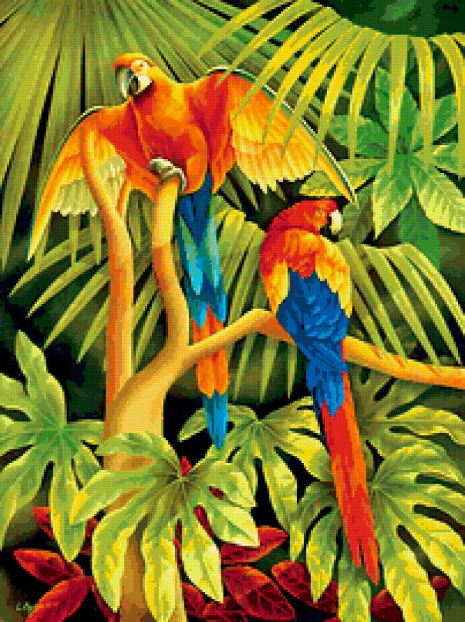 пара попугаев - попугай, тропики, пара, пальма, птицы - предпросмотр
