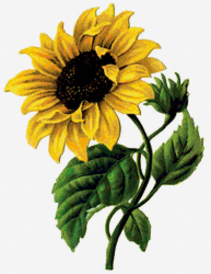 №343904 - предпросмотр