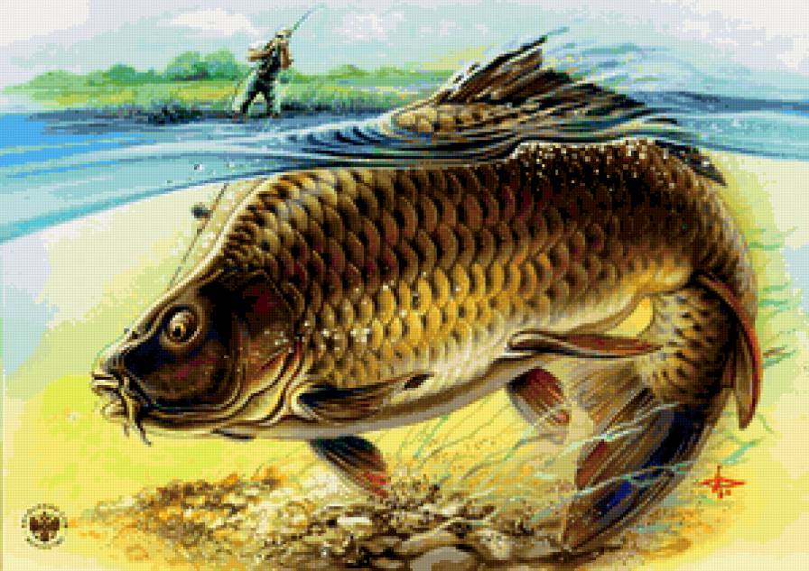 №343926 - предпросмотр