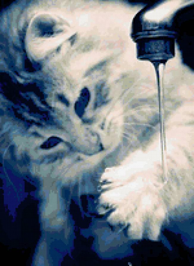 моем лапки - лапы, вода, кот - предпросмотр