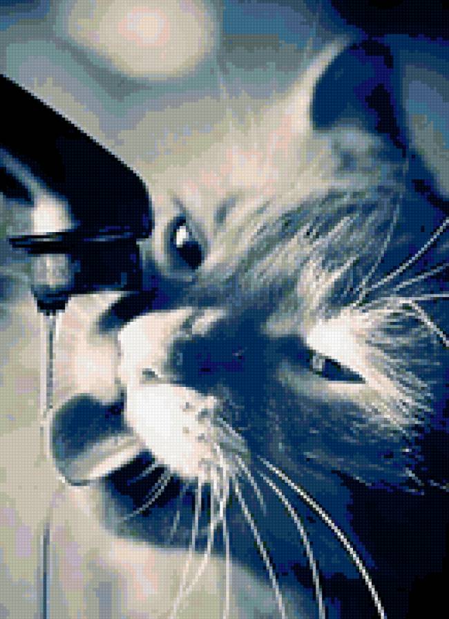 жажда - вода, кот - предпросмотр