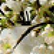 Предпросмотр схемы вышивки «натюрморт» (№344033)