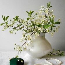 Схема вышивки «натюрморт»