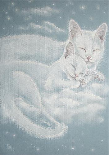 облака - оригинал