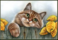 я пришел - животные, коты, кошки - оригинал