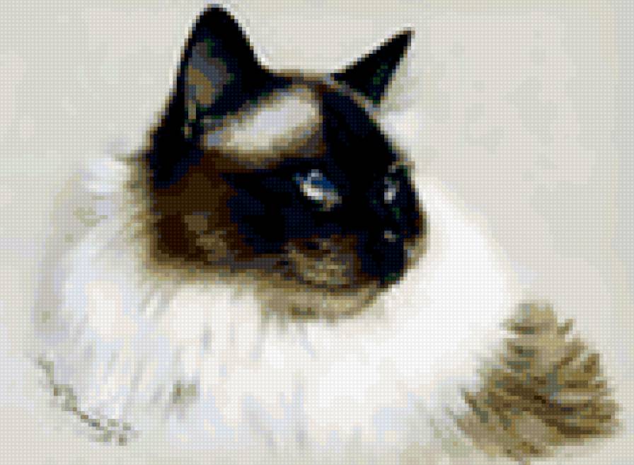 Красота - коты, животные, кошки - предпросмотр