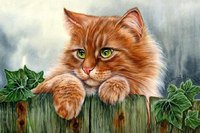 Котик - коты, животные, кошки - оригинал