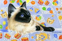 Киса - коты, животные, кошки - оригинал