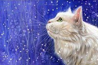 Схема вышивки «снеег»