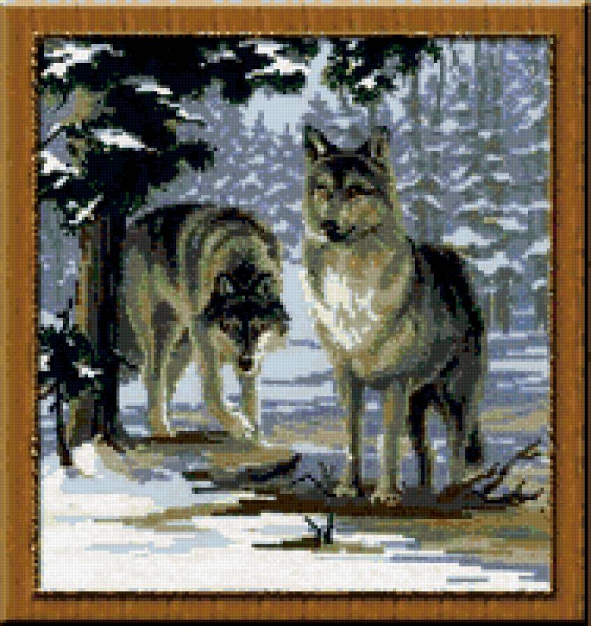 волки - волки, животные - предпросмотр