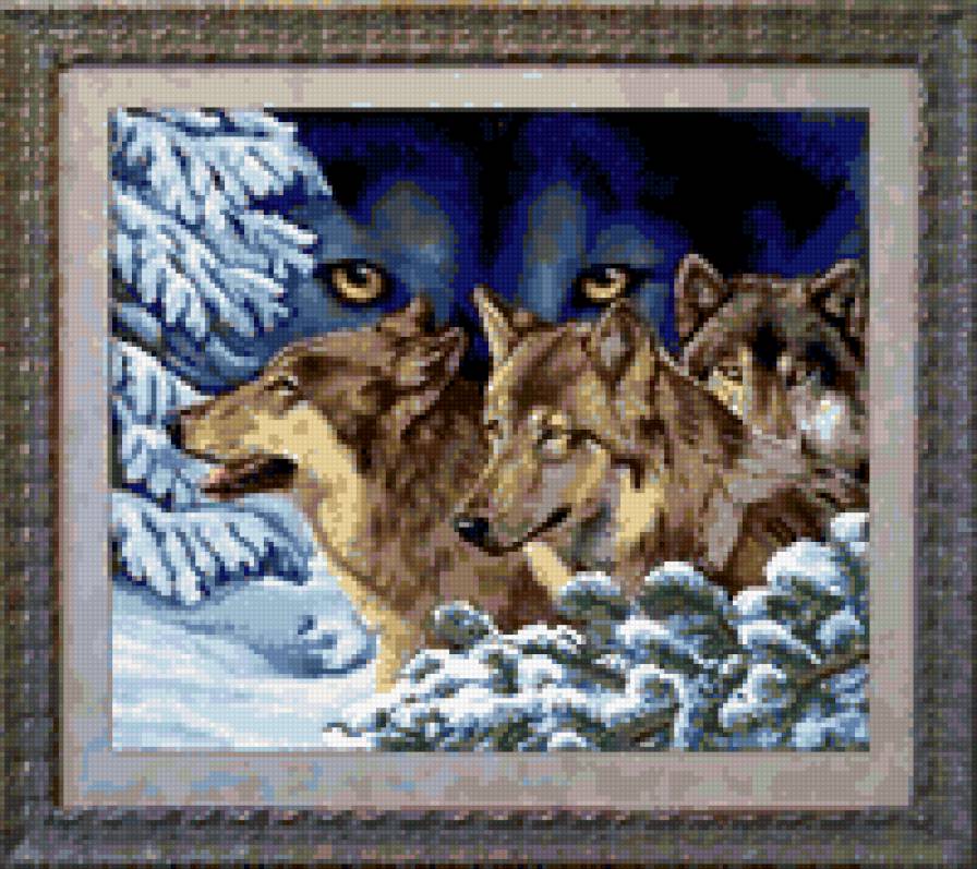 волчий взгляд - волки, животные - предпросмотр