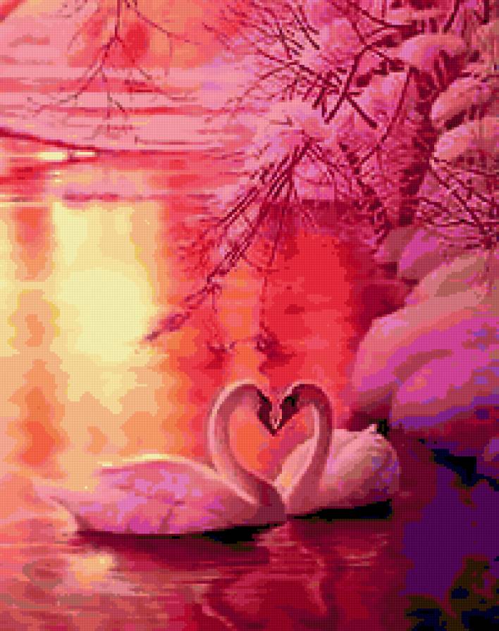 №344151 - лебеди, пара, сердце - предпросмотр