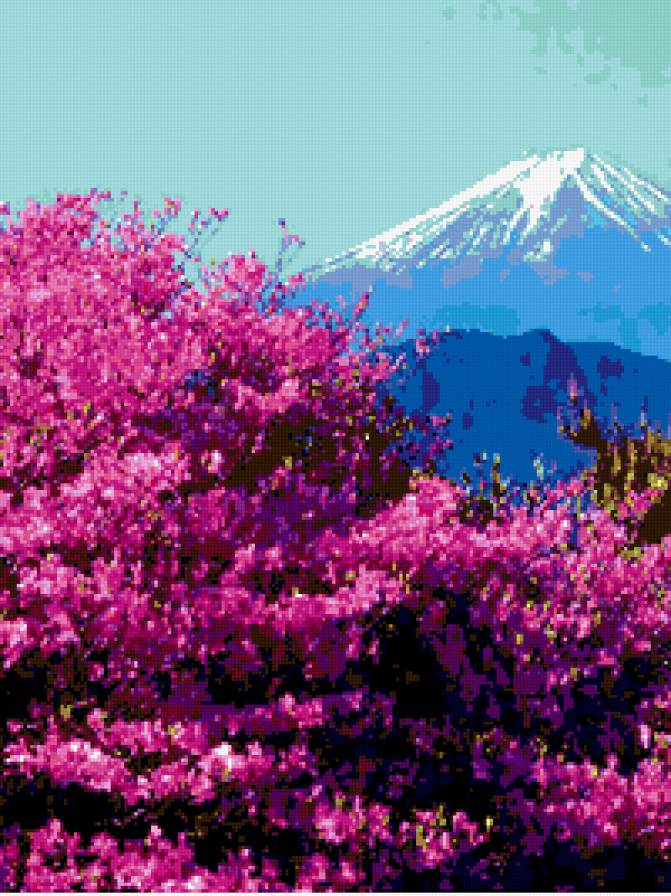 №344160 - цветы, горы - предпросмотр