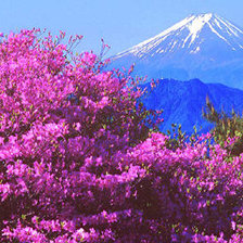 Схема вышивки «№344160»