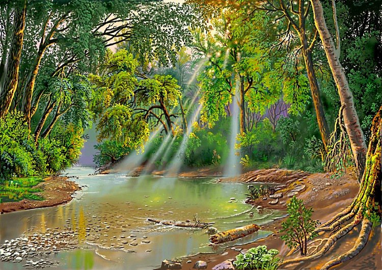 41 - оригинал