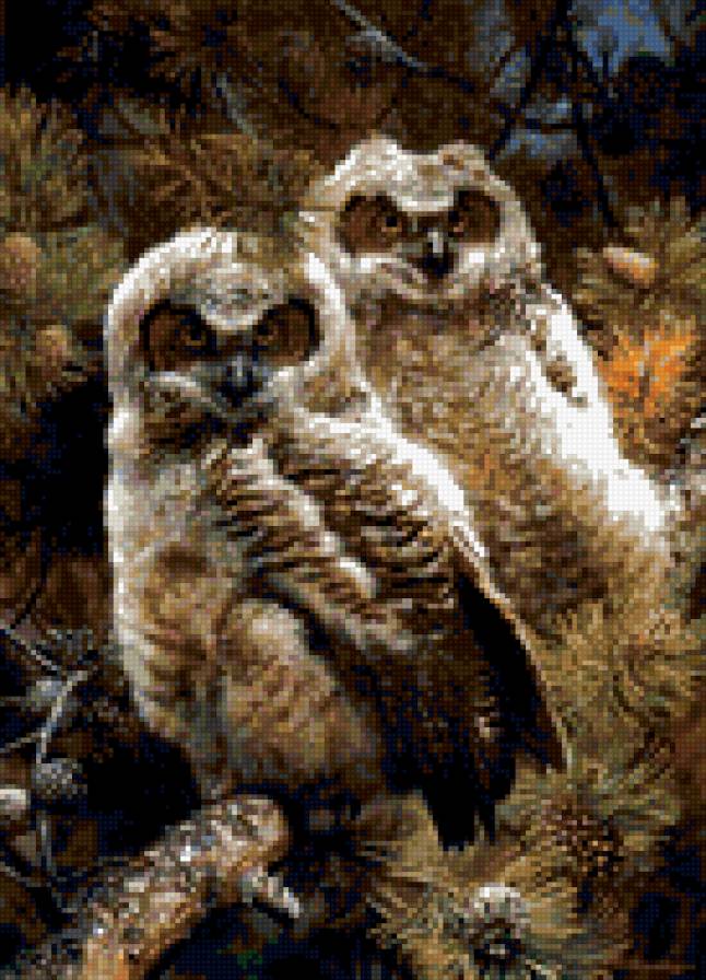 0093 - красота, картина, птицы, природа, сова - предпросмотр