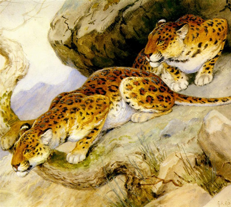 0095 - леопард, животные, кошки, красота, картина, природа - оригинал