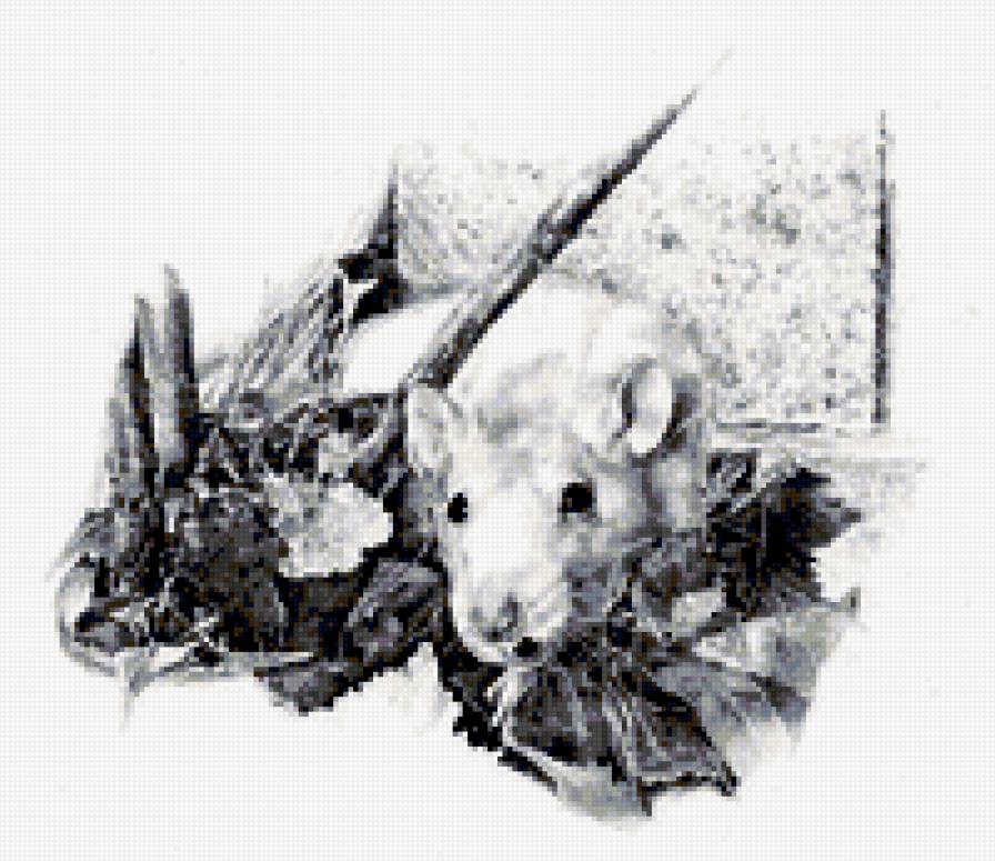 серия в черно-белом. крыска - природа. животные. крыса - предпросмотр