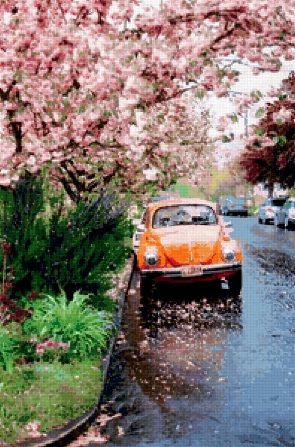 после дождя - машина, дождь, вишня - предпросмотр