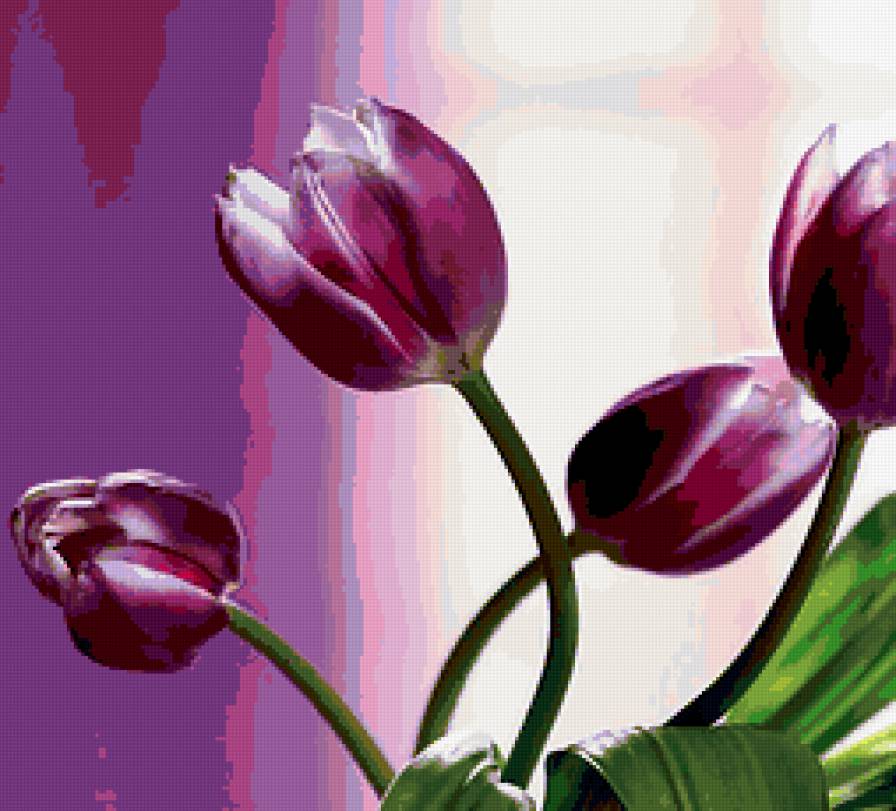тюльпаны - предпросмотр