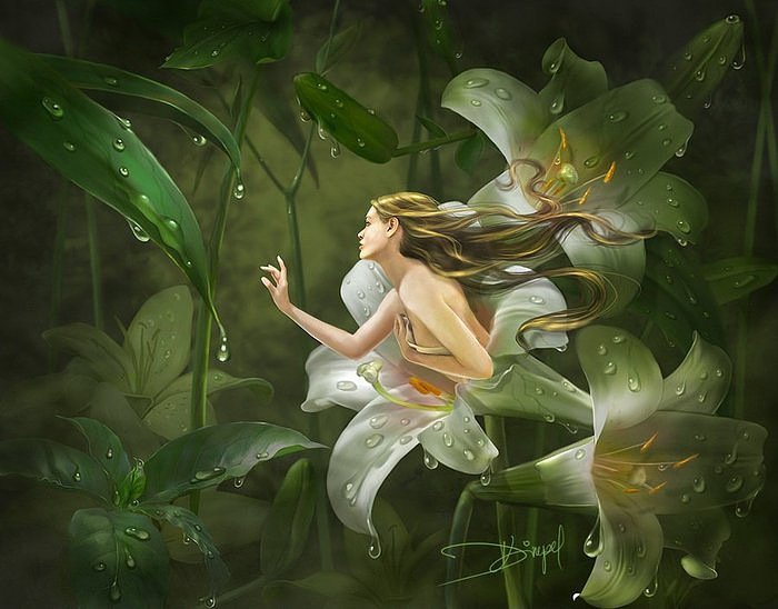 Жена цветок - природа, жена, цветок, цветы - оригинал