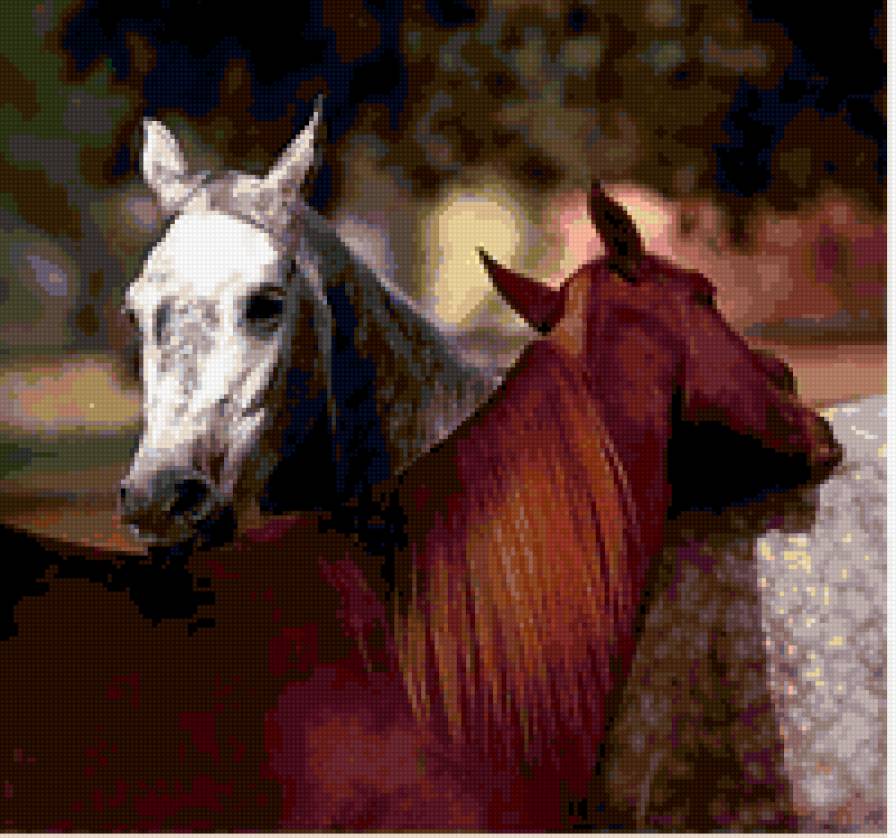 Лошади - предпросмотр