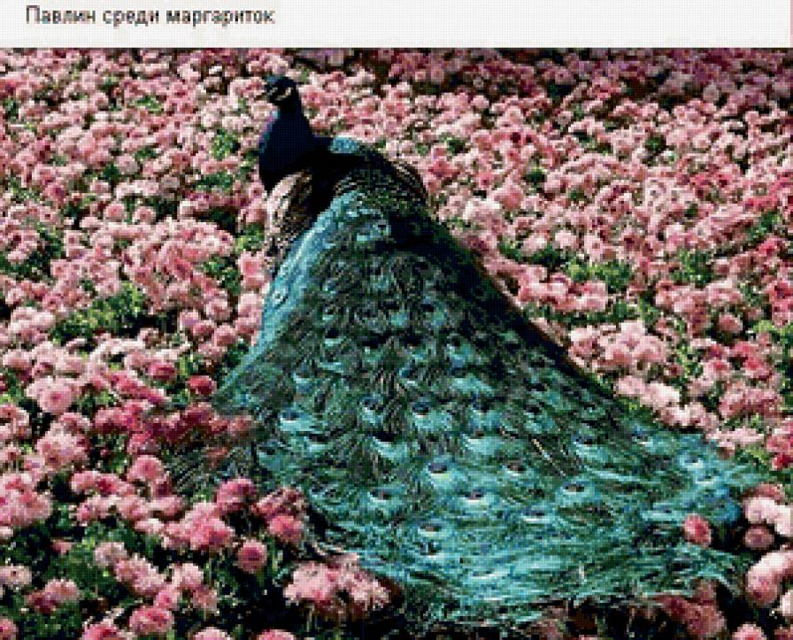 №344862 - предпросмотр