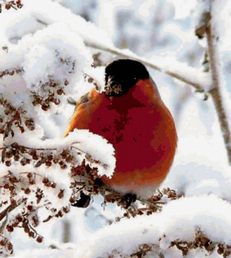 №344865 - предпросмотр