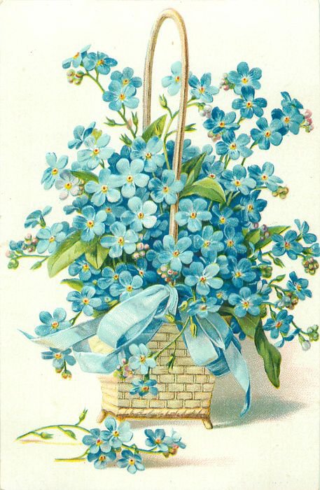 цветы в корзине - фиалки, цветы - оригинал