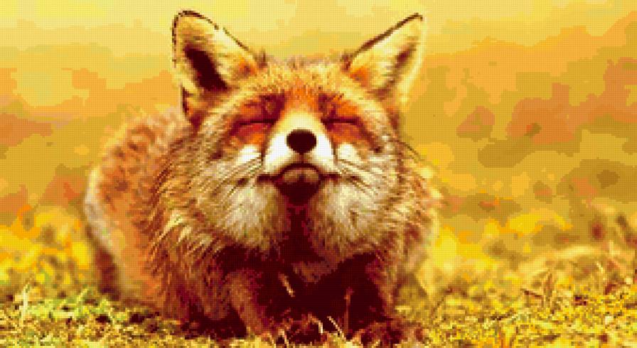 КТО ЭТО? - животное - предпросмотр