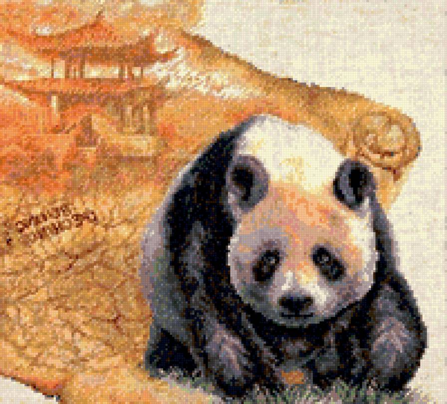 Королевская панда - панды, животные - предпросмотр