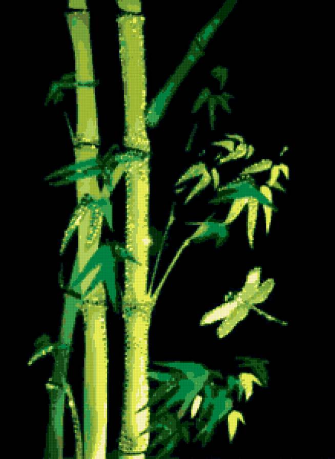 бамбук - предпросмотр