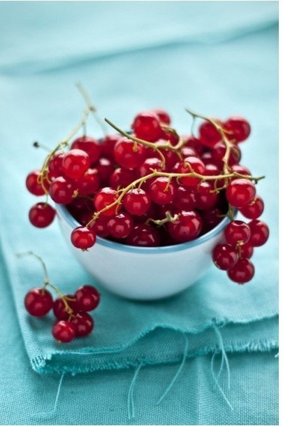 КРАСНАЯ СМОРОДИНА - оригинал